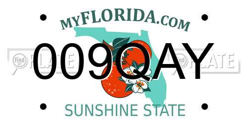 009QAY Florida License Plate