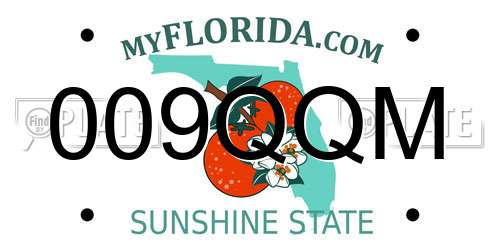 009QQM Florida License Plate