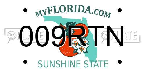 009RTN Florida License Plate