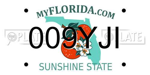 009YJI Florida License Plate