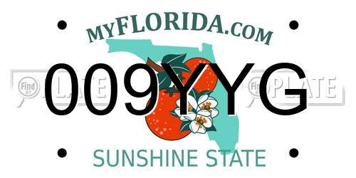 009YYG Florida License Plate