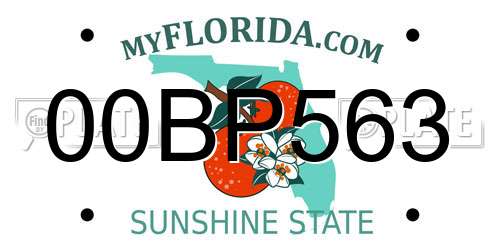00BP563 Florida License Plate