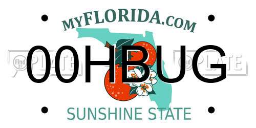 00HBUG Florida License Plate