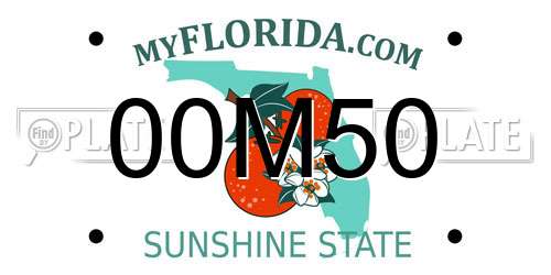 00M50 Florida License Plate