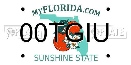 00TGIU Florida License Plate