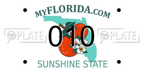 010 Florida License Plate