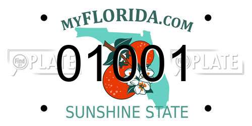 01001 Florida License Plate