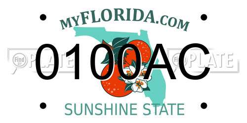 0100AC Florida License Plate