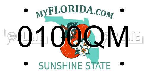 0100QM Florida License Plate
