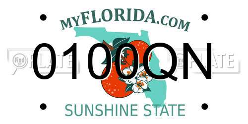 0100QN Florida License Plate