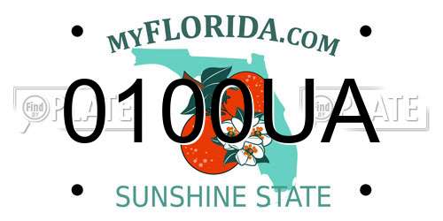 0100UA Florida License Plate