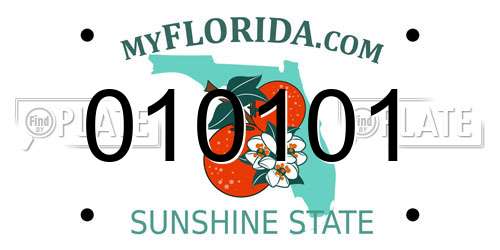 010101 Florida License Plate