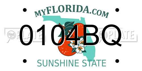 0104BQ Florida License Plate