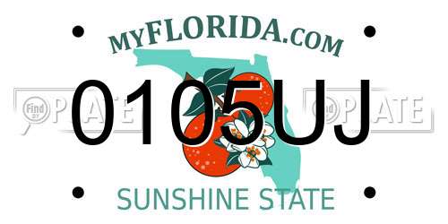 0105UJ Florida License Plate