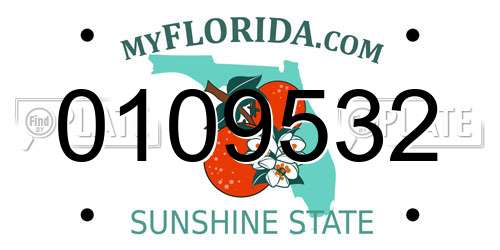 0109532 Florida License Plate