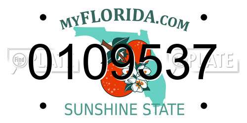 0109537 Florida License Plate