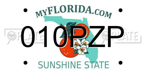 010PZP Florida License Plate