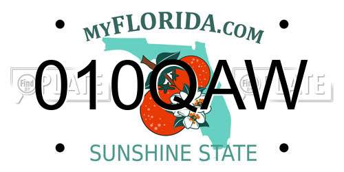 010QAW Florida License Plate
