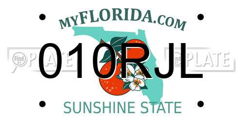 010RJL Florida License Plate
