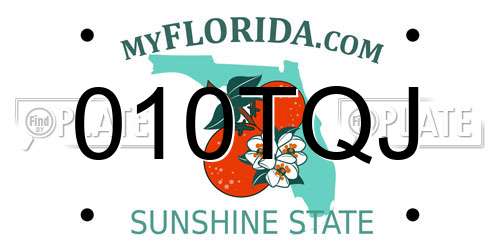 010TQJ Florida License Plate