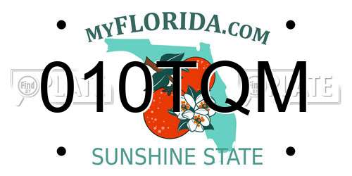 010TQM Florida License Plate