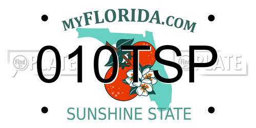 010TSP Florida License Plate