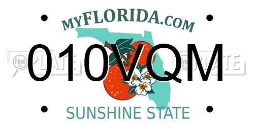 010VQM Florida License Plate