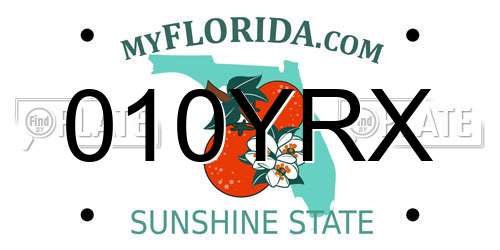 010YRX Florida License Plate
