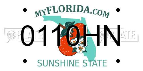0110HN Florida License Plate