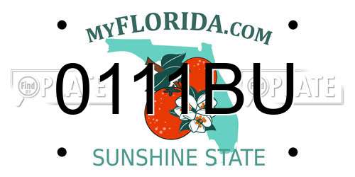 0111BU Florida License Plate