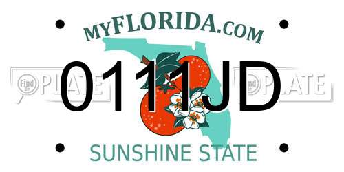 0111JD Florida License Plate