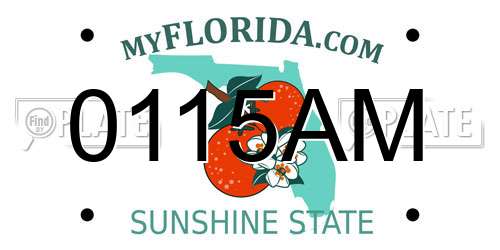 0115AM Florida License Plate