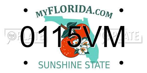 0115VM Florida License Plate