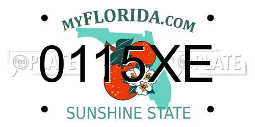 0115XE Florida License Plate