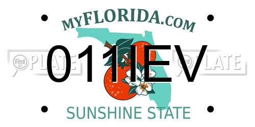011IEV Florida License Plate