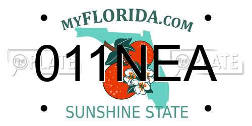 011NEA Florida License Plate