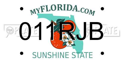011RJB Florida License Plate