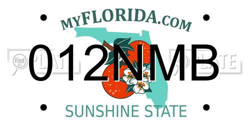 012NMB Florida License Plate