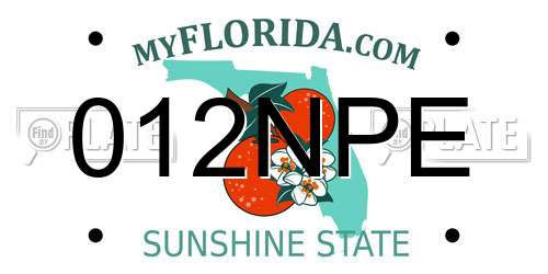 012NPE Florida License Plate