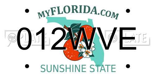 012WVE Florida License Plate