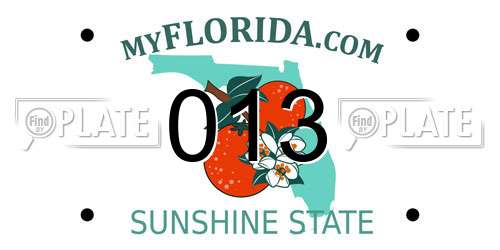 013 Florida License Plate