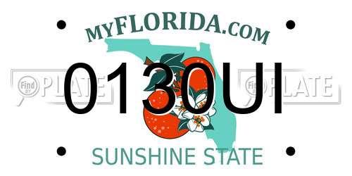 0130UI Florida License Plate