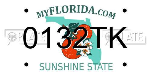 0132TK Florida License Plate