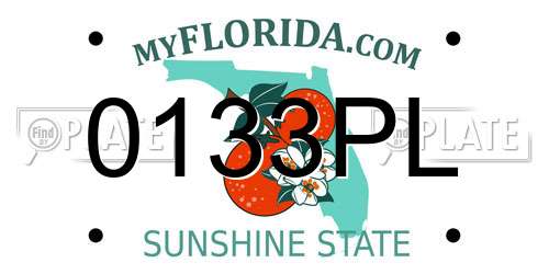 0133PL Florida License Plate