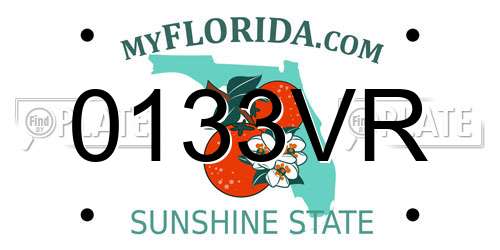 0133VR Florida License Plate