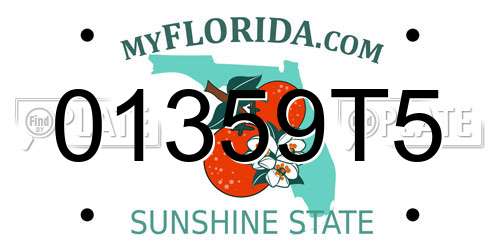 01359T5 Florida License Plate