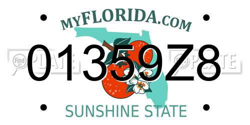 01359Z8 Florida License Plate