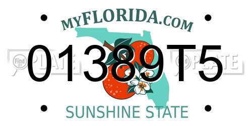 01389T5 Florida License Plate