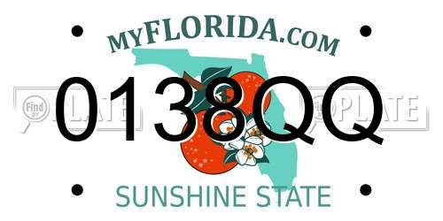 0138QQ Florida License Plate