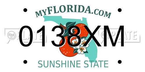 0138XM Florida License Plate
